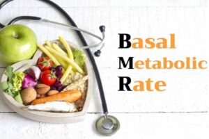 basal metabolism rate bmr