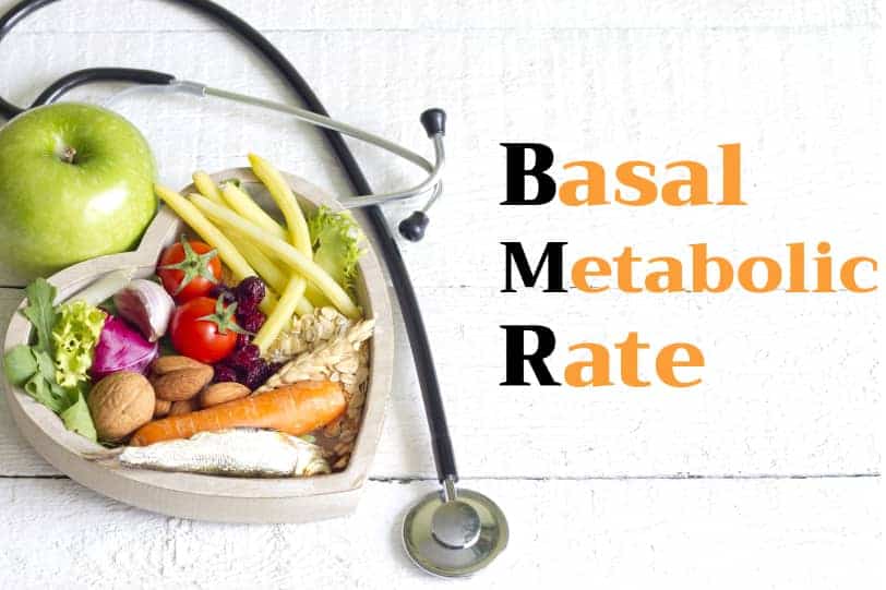 basal metabolism rate bmr